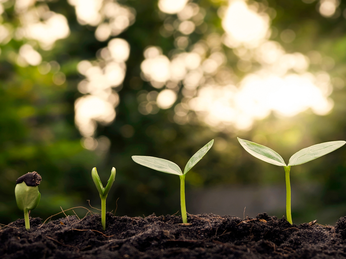 INC Web news 2025 (17)