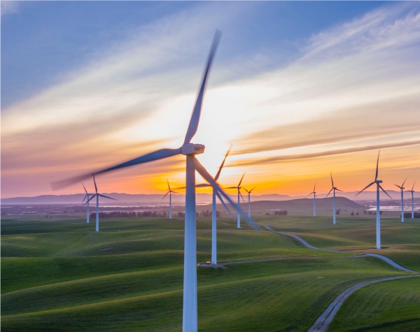 Environmenta _Green energy